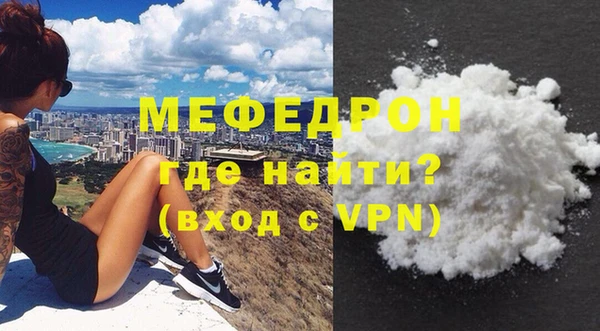 индика Дубна