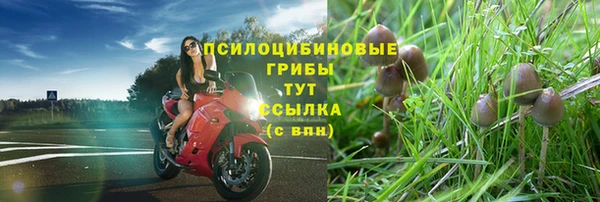 PSILOCYBIN Арсеньев