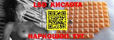 spice Донецк