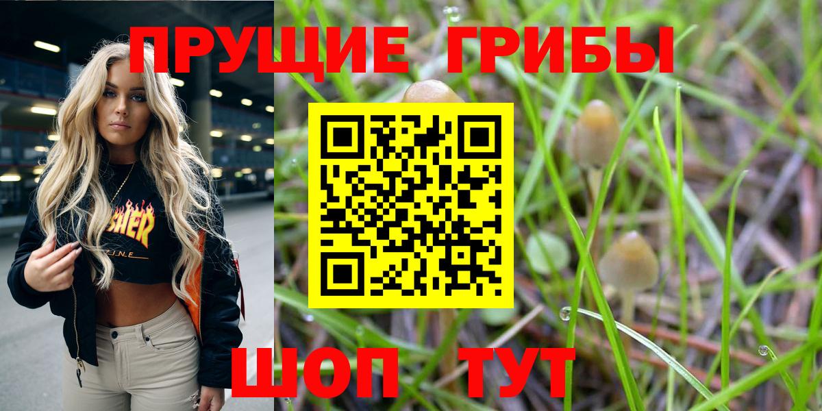 Псилоцибиновые грибы мухоморы  купить наркоту  Кировск  Вход с VPN 