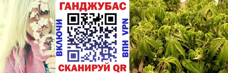 OMG ONION  закладка  Кировск  Каннабис план 